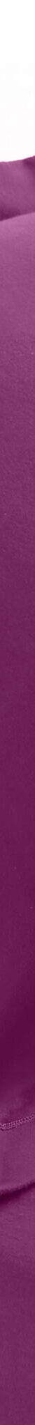 Linge de lit uni flanelle (prune) Linge de lit uni flanelle (prune)